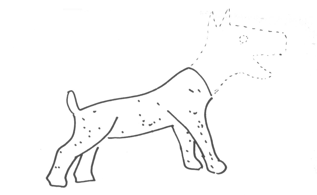 Figura 5